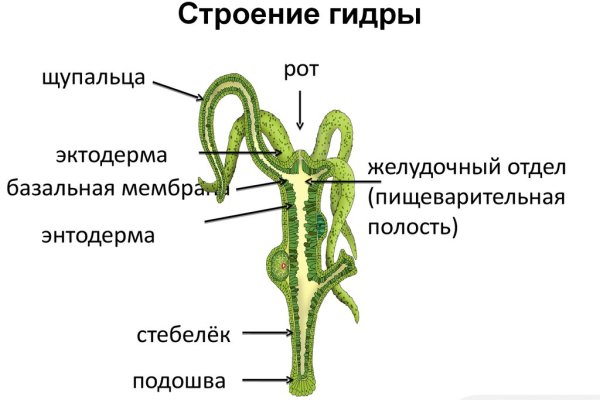 Kraken зеркало kraken link top