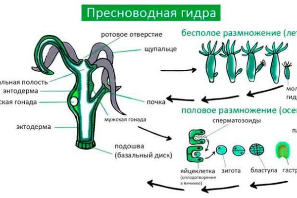 Не работает сайт kraken