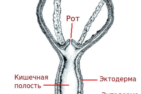 Кракен маркет