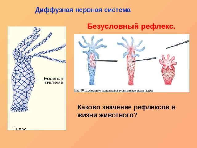 Кракен сайт покупок