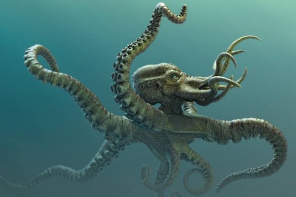 Kraken kraken link24 info