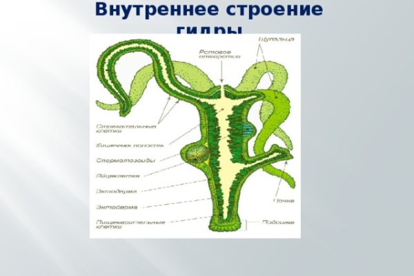 Зайти на кракен без тора